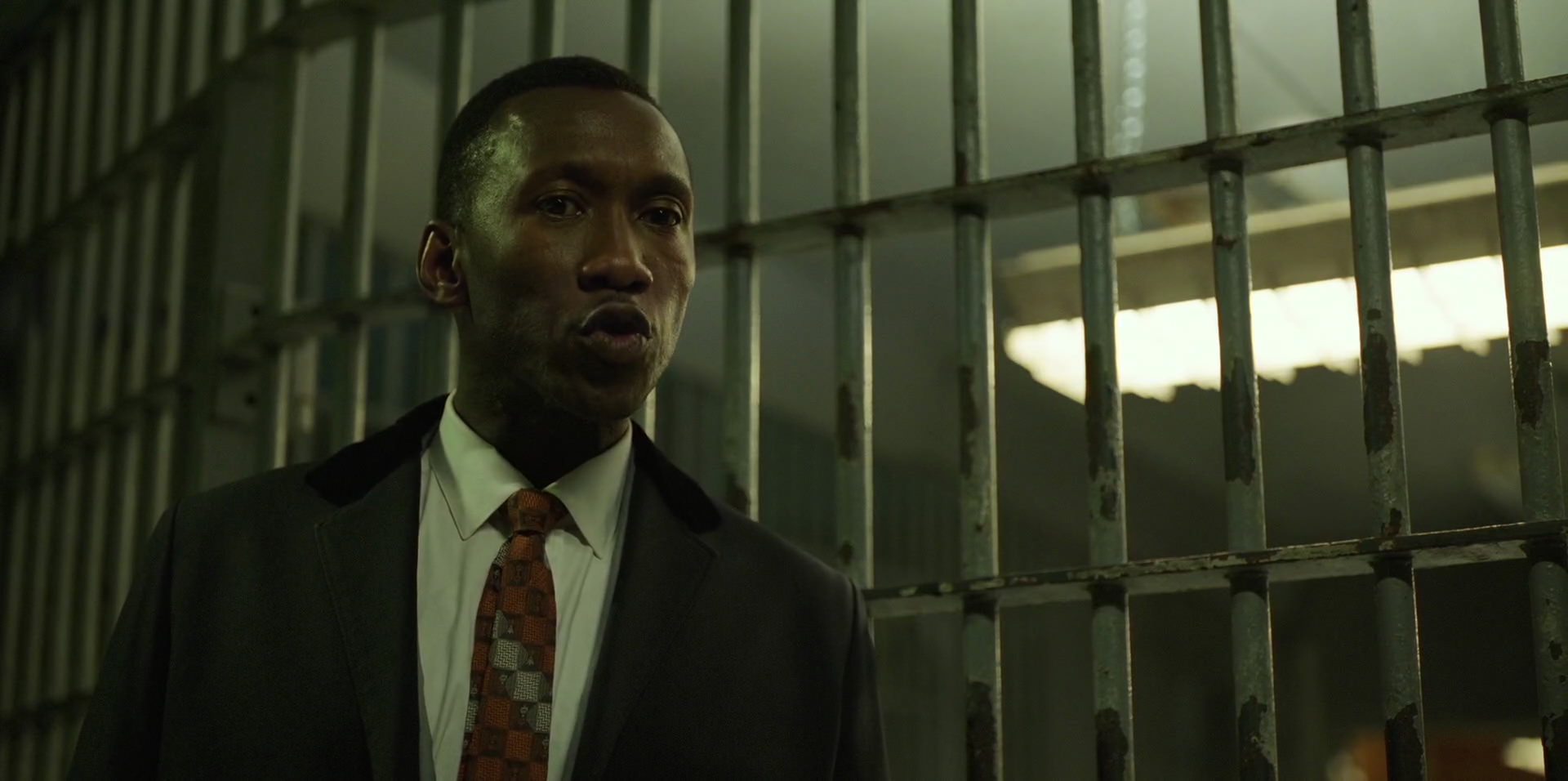 Green Book (2018) HD screenshot 10505