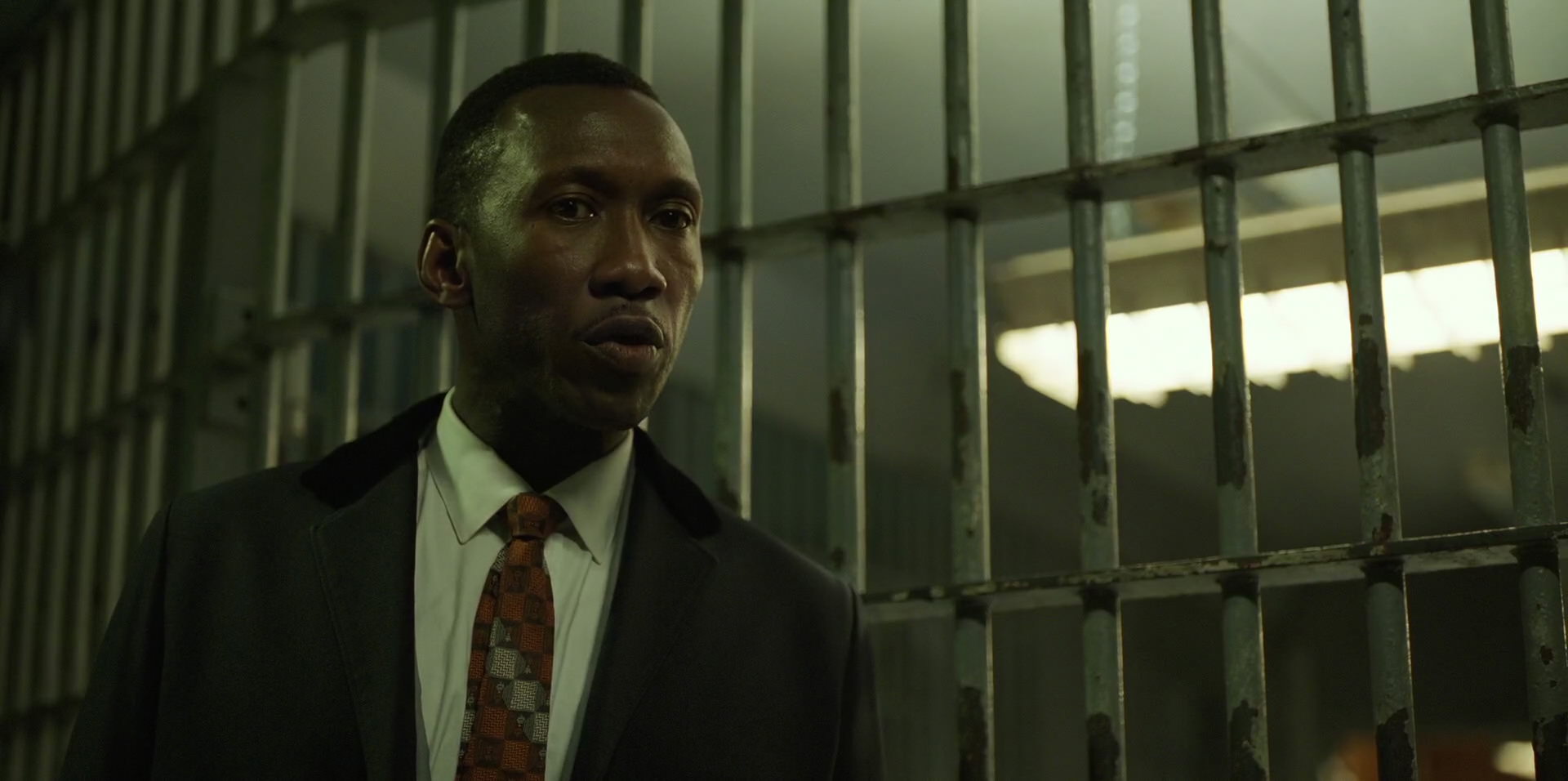 Green Book (2018) HD screenshot 10517