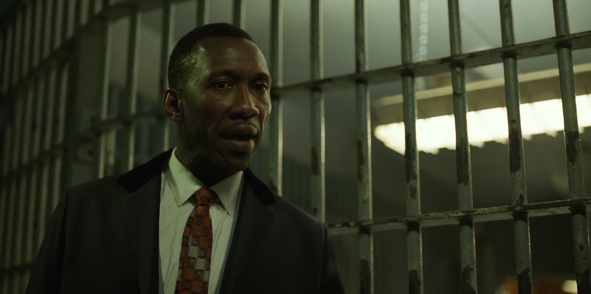 Green Book (2018) HD screenshot 10520