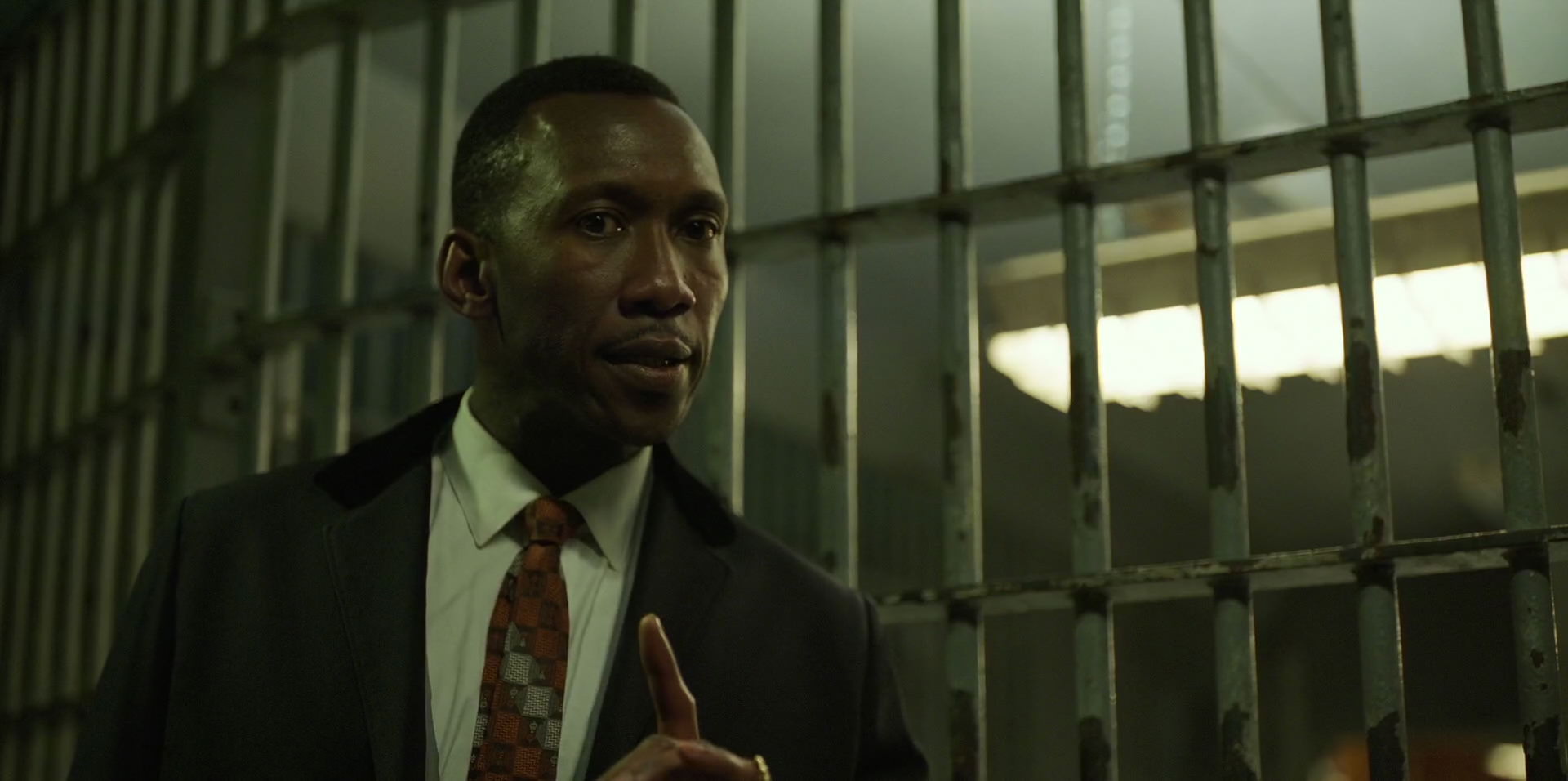 Green Book (2018) HD screenshot 10523