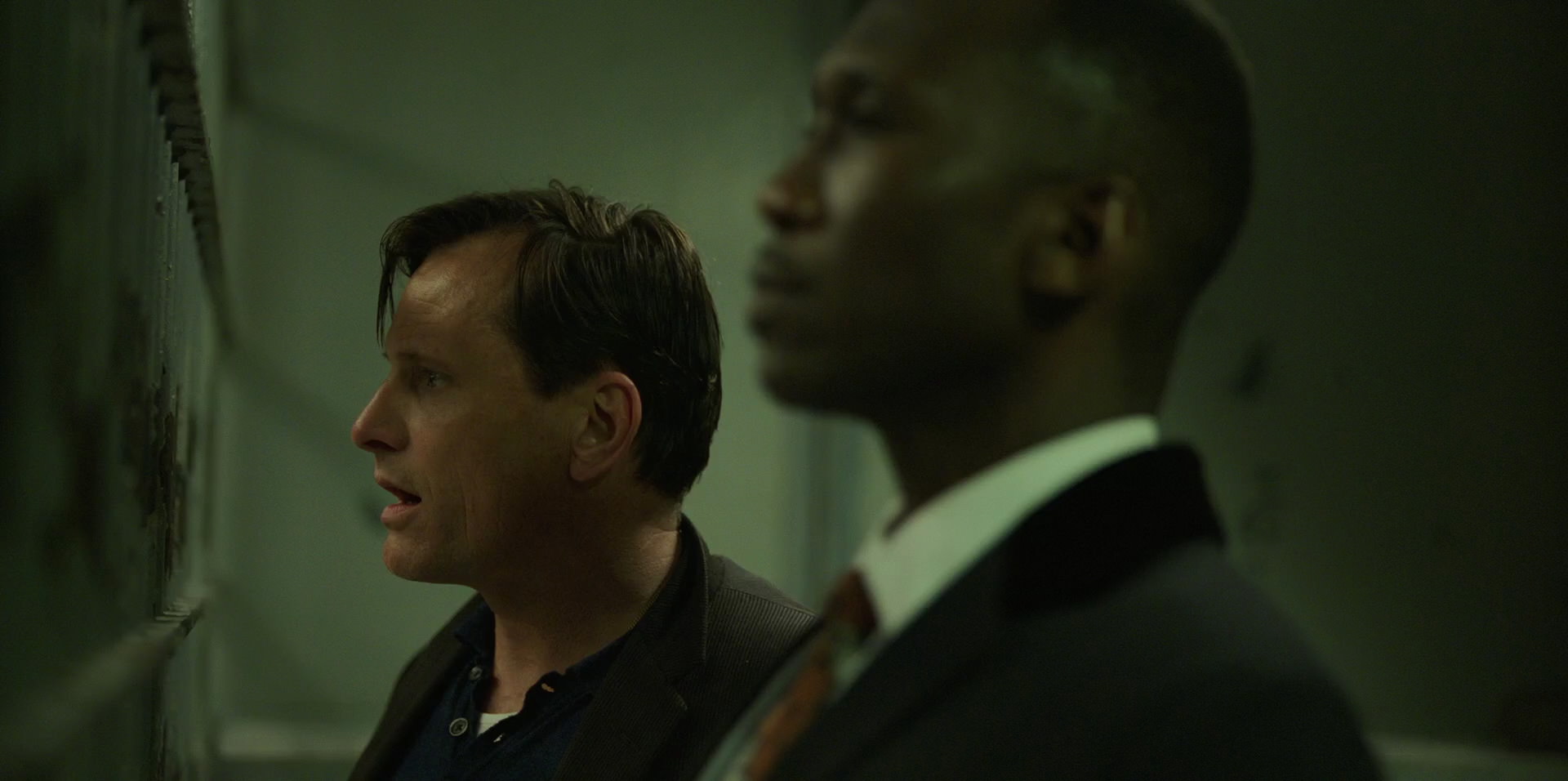 Green Book (2018) HD screenshot 10712