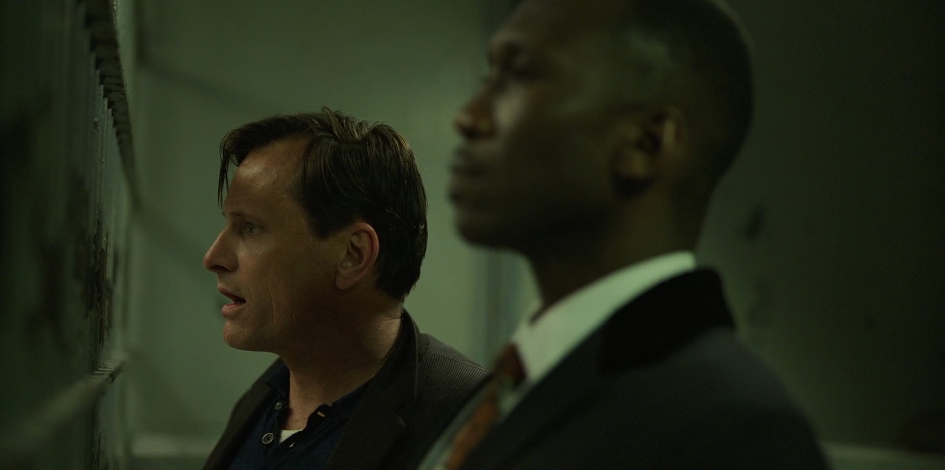 Green Book (2018) HD screenshot 10715