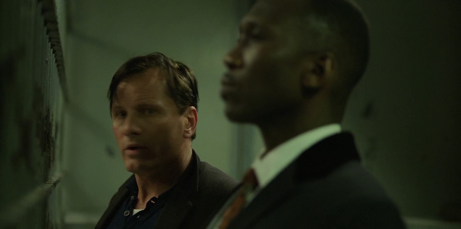 Green Book (2018) HD screenshot 10721