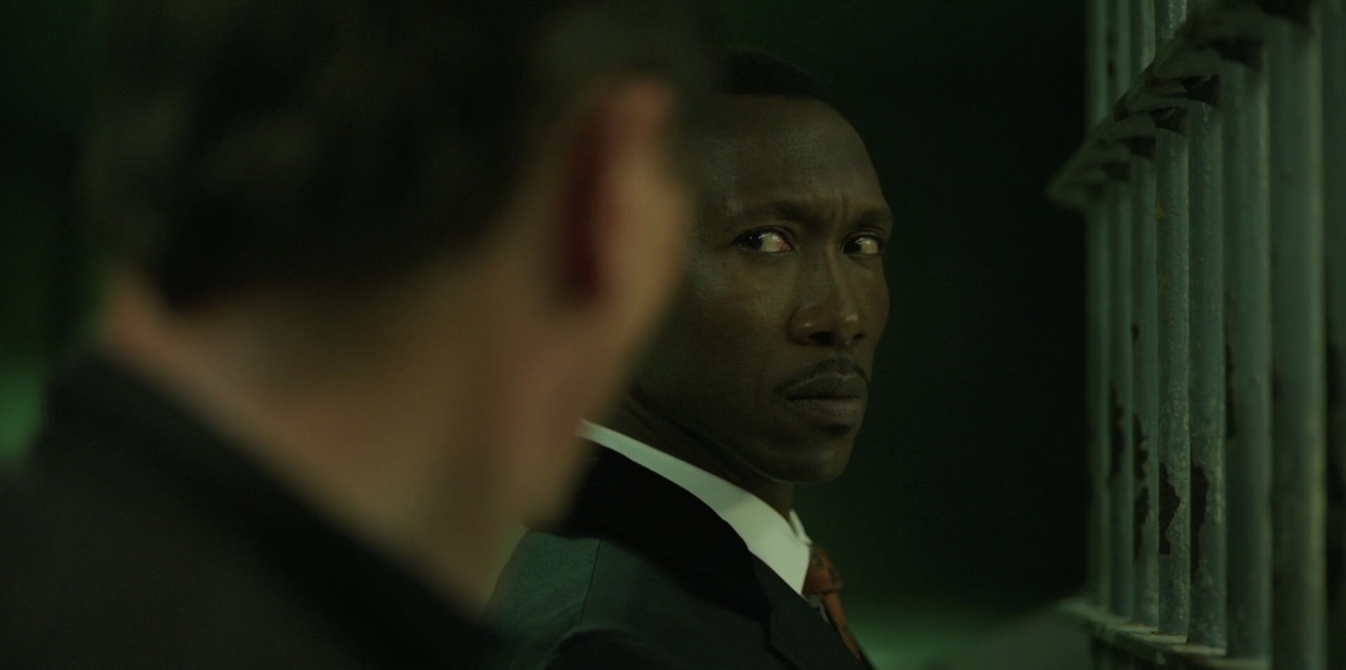 Green Book (2018) HD screenshot 10727