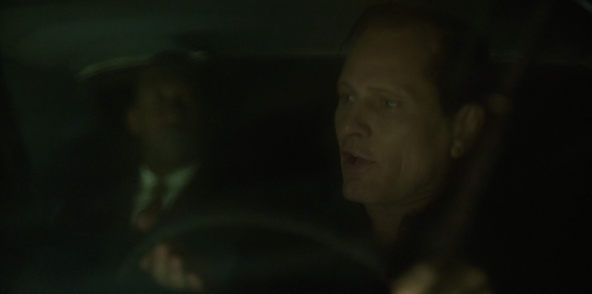 Green Book (2018) movie still 10840