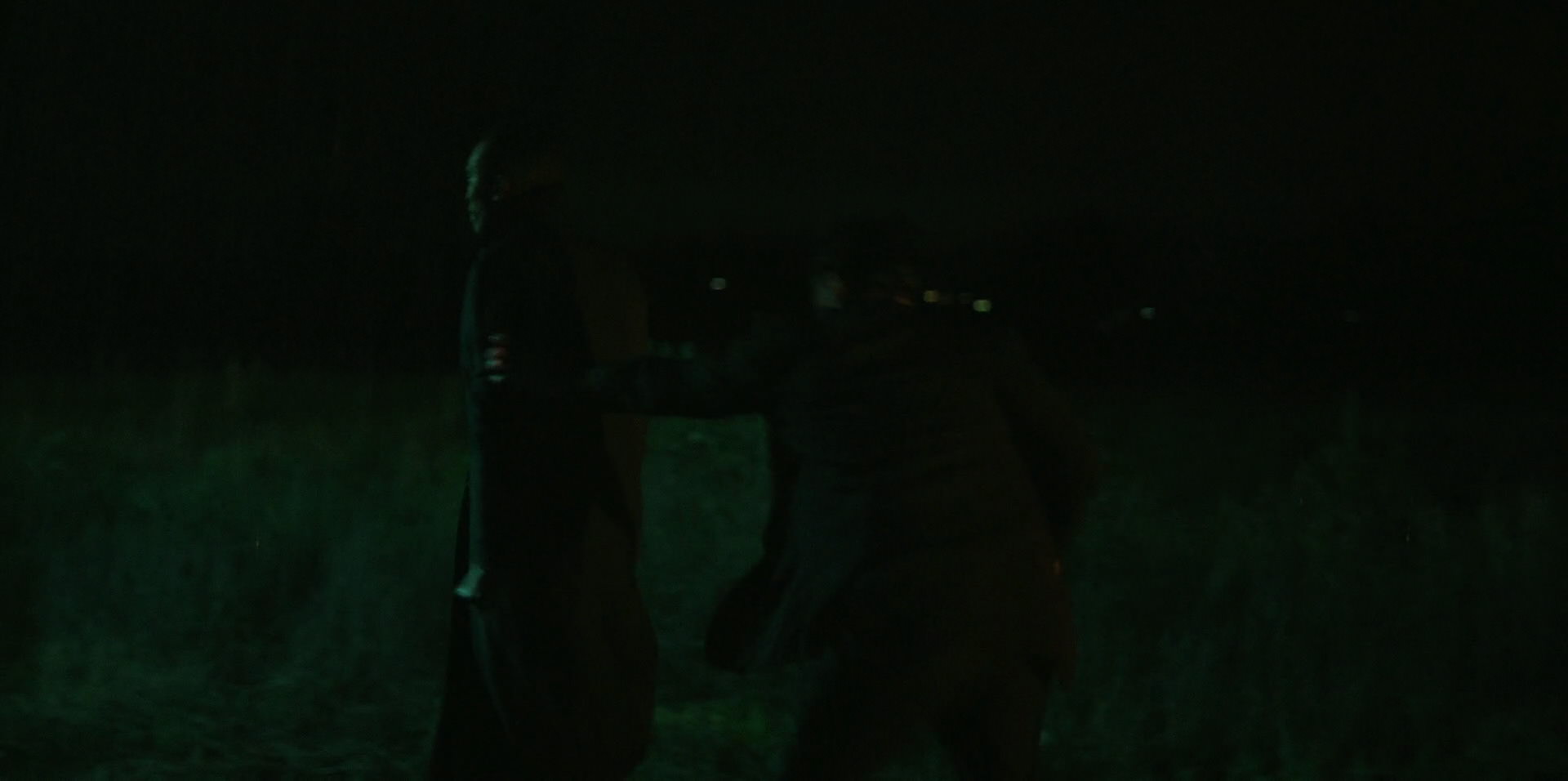 Green Book (2018) HD screenshot 10976