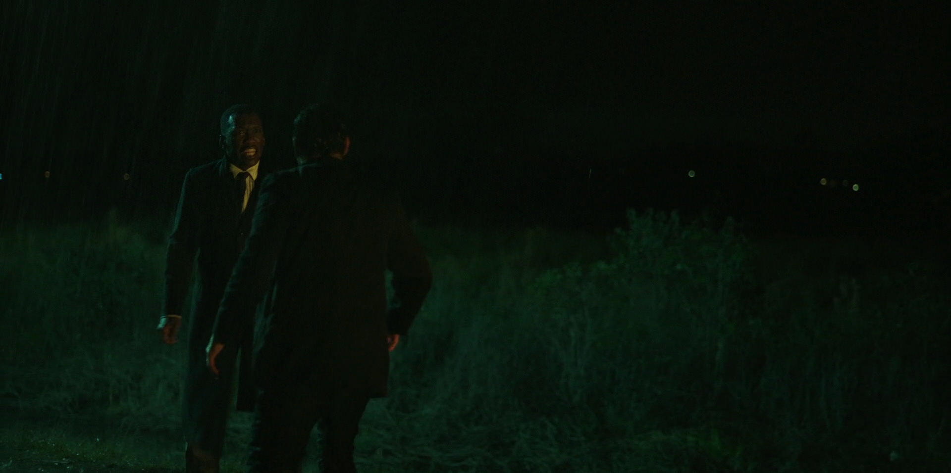 Green Book (2018) HD screenshot 10979
