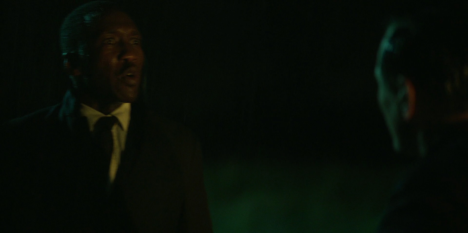 Green Book (2018) HD screenshot 10988