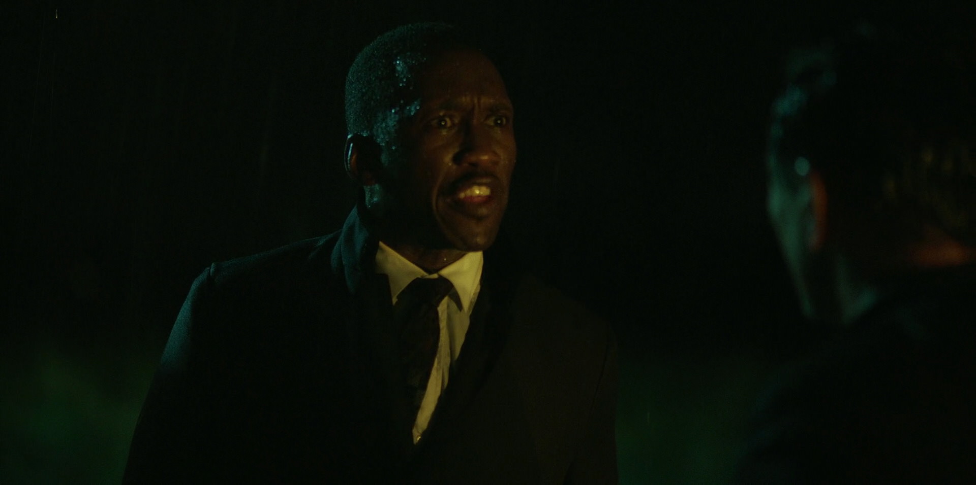 Green Book (2018) HD screenshot 10991