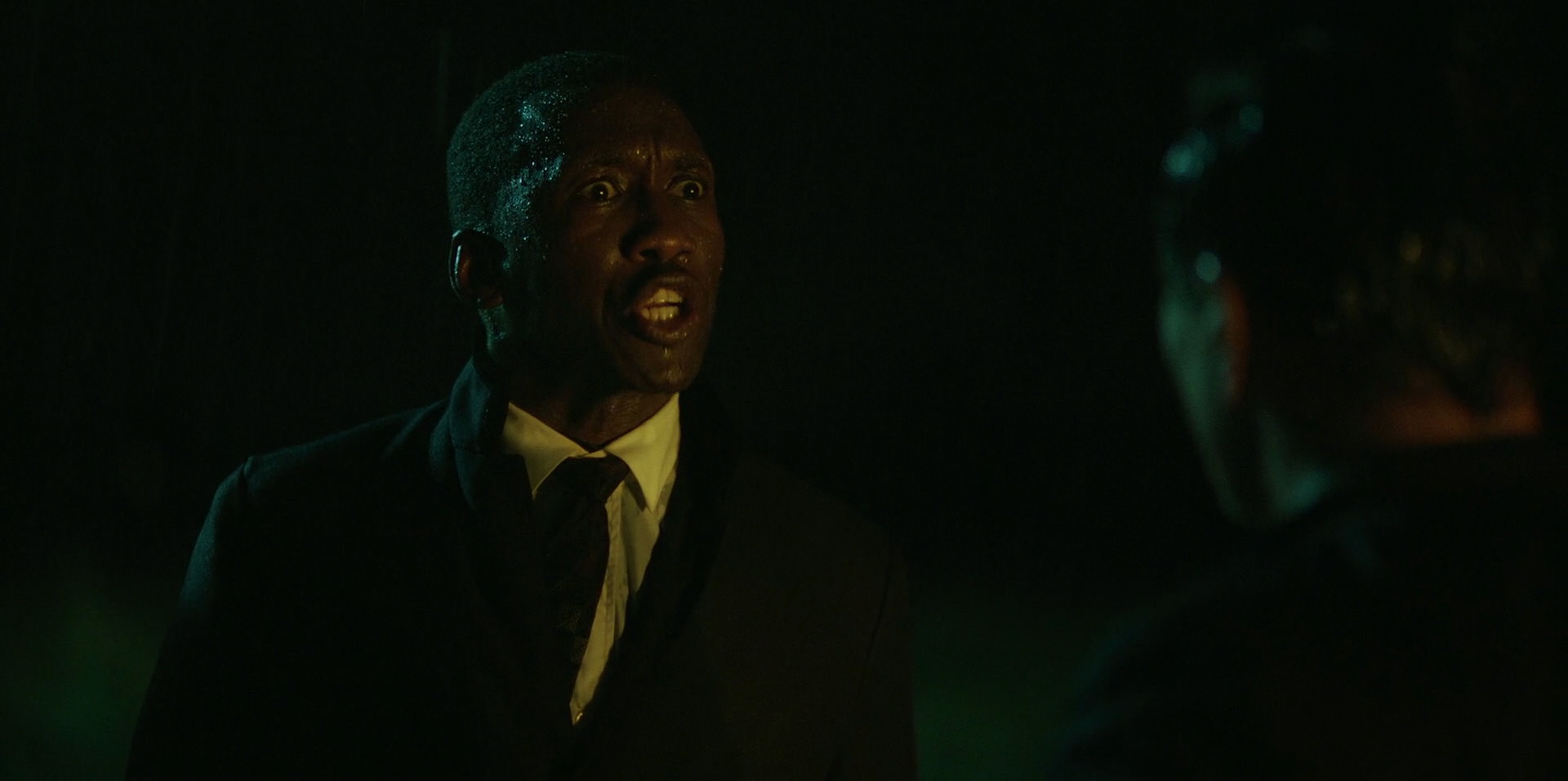 Green Book (2018) HD screenshot 10994