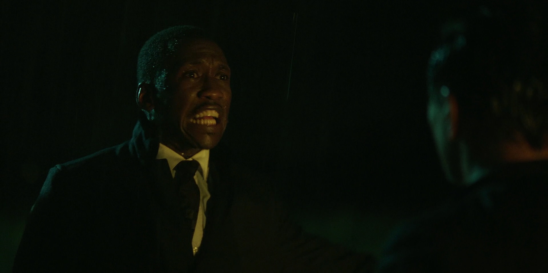 Green Book (2018) HD screenshot 10997
