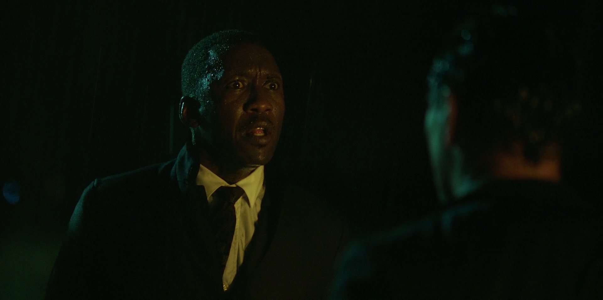 Green Book (2018) HD screenshot 11003