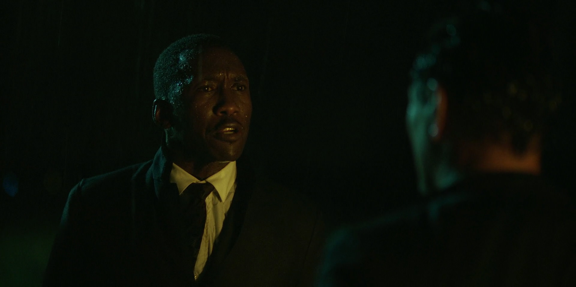 Green Book (2018) HD screenshot 11009