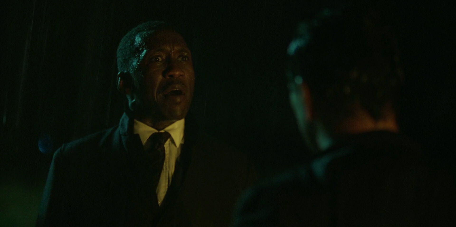 Green Book (2018) HD screenshot 11024