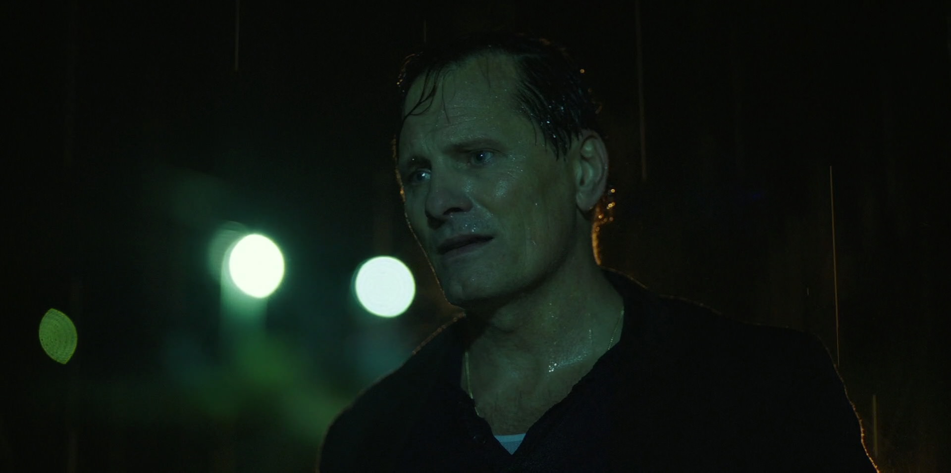 Green Book (2018) HD screenshot 11039