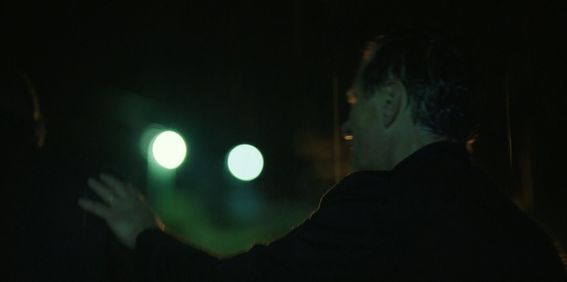 Green Book (2018) HD screenshot 11048