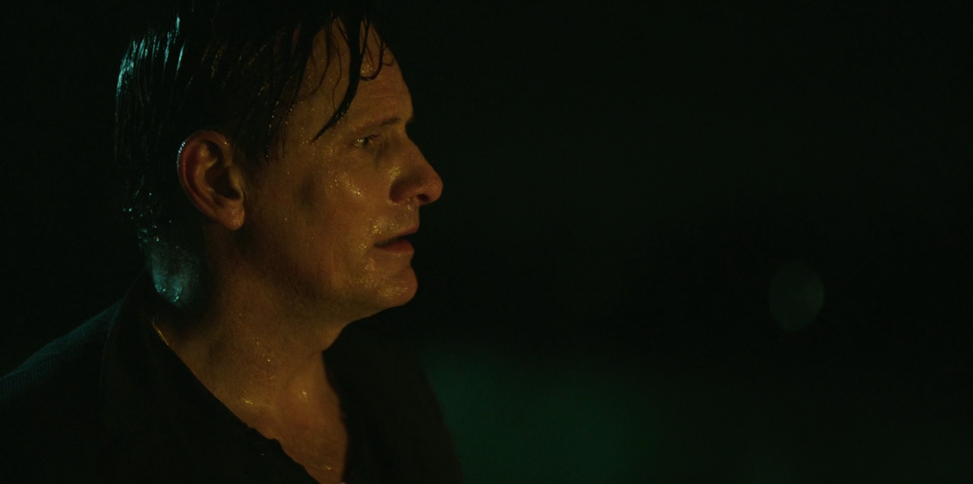 Green Book (2018) HD screenshot 11060