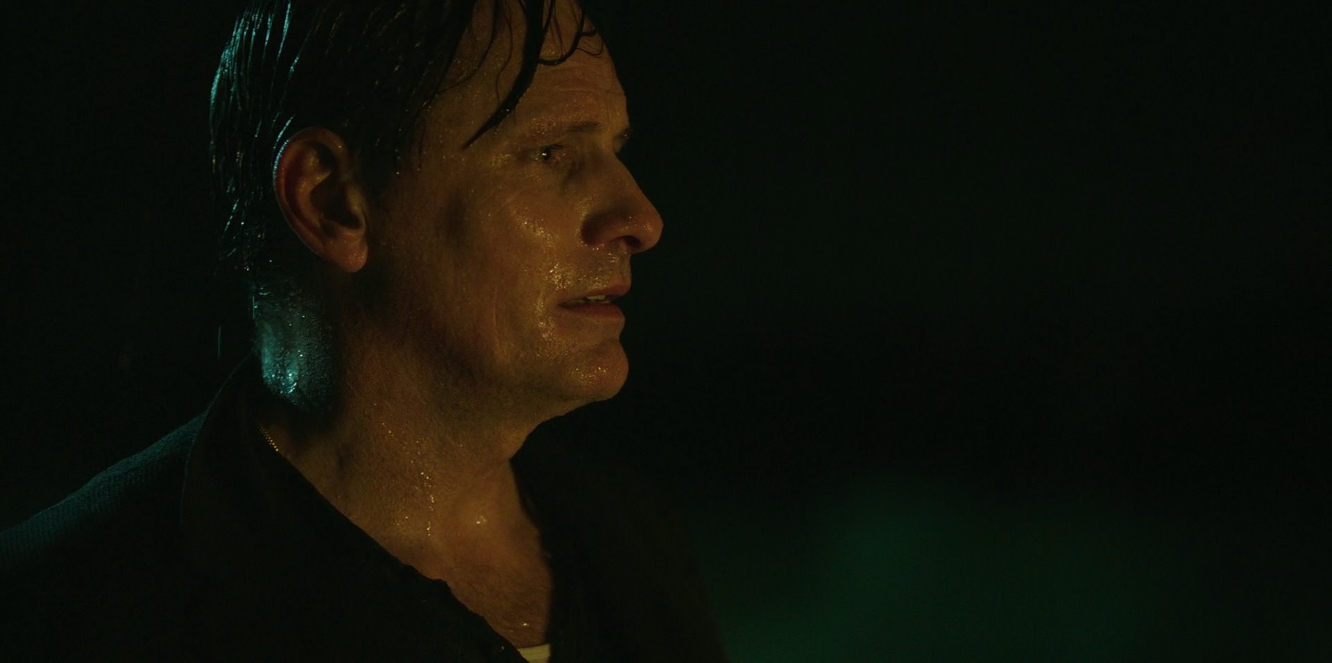 Green Book (2018) HD screenshot 11063