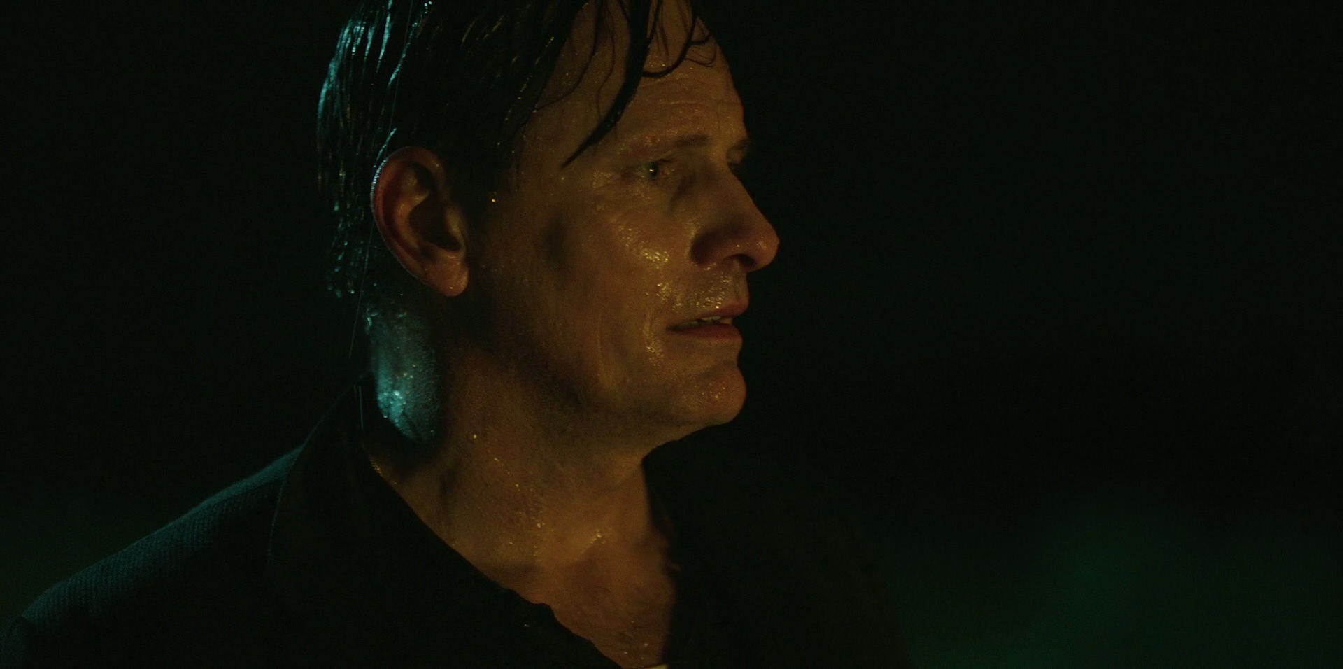 Green Book (2018) HD screenshot 11066