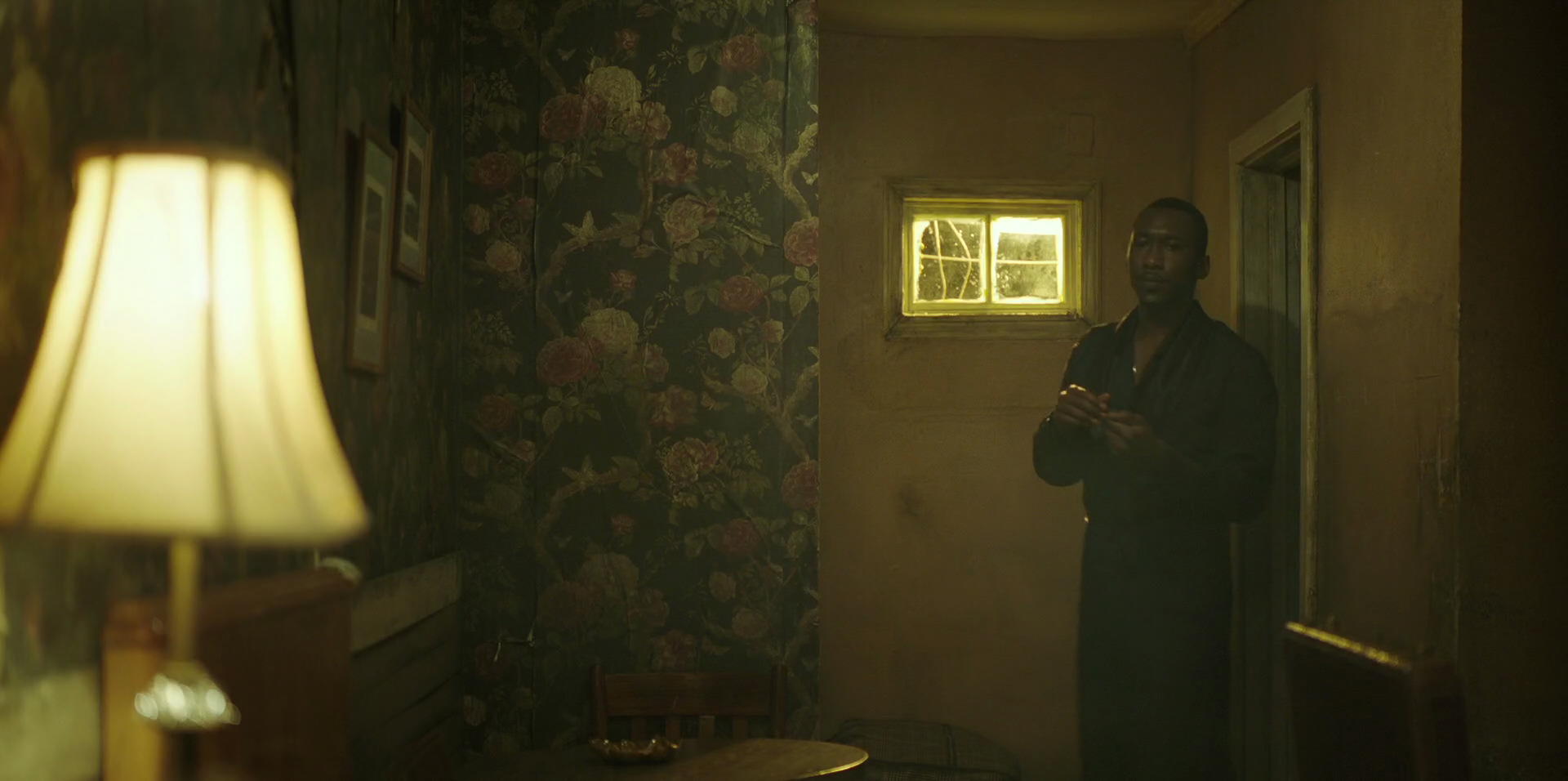 Green Book (2018) HD screenshot 11174