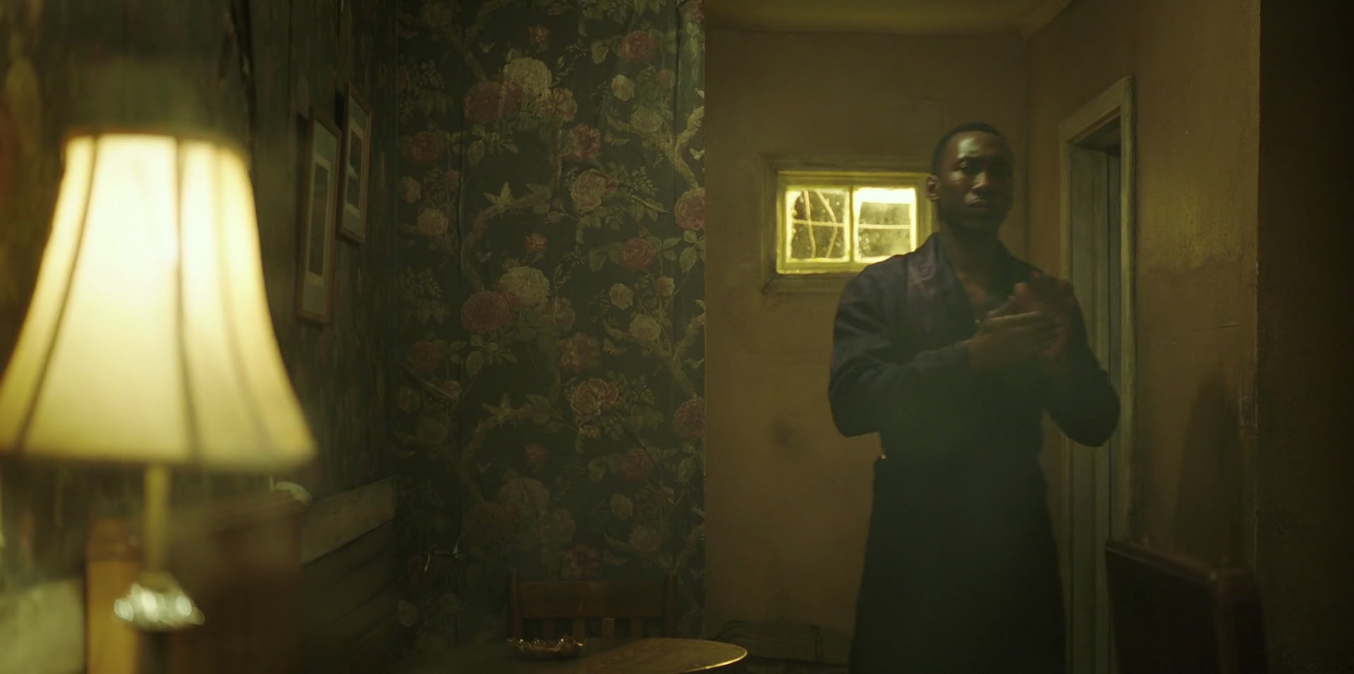Green Book (2018) HD screenshot 11177