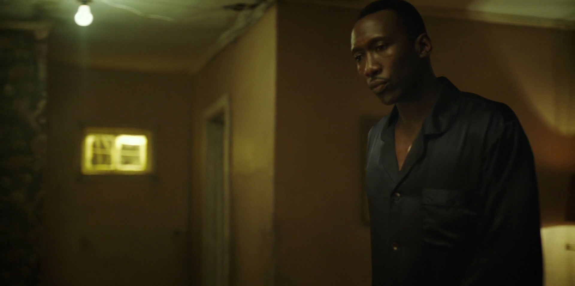 Green Book (2018) screencap 11223