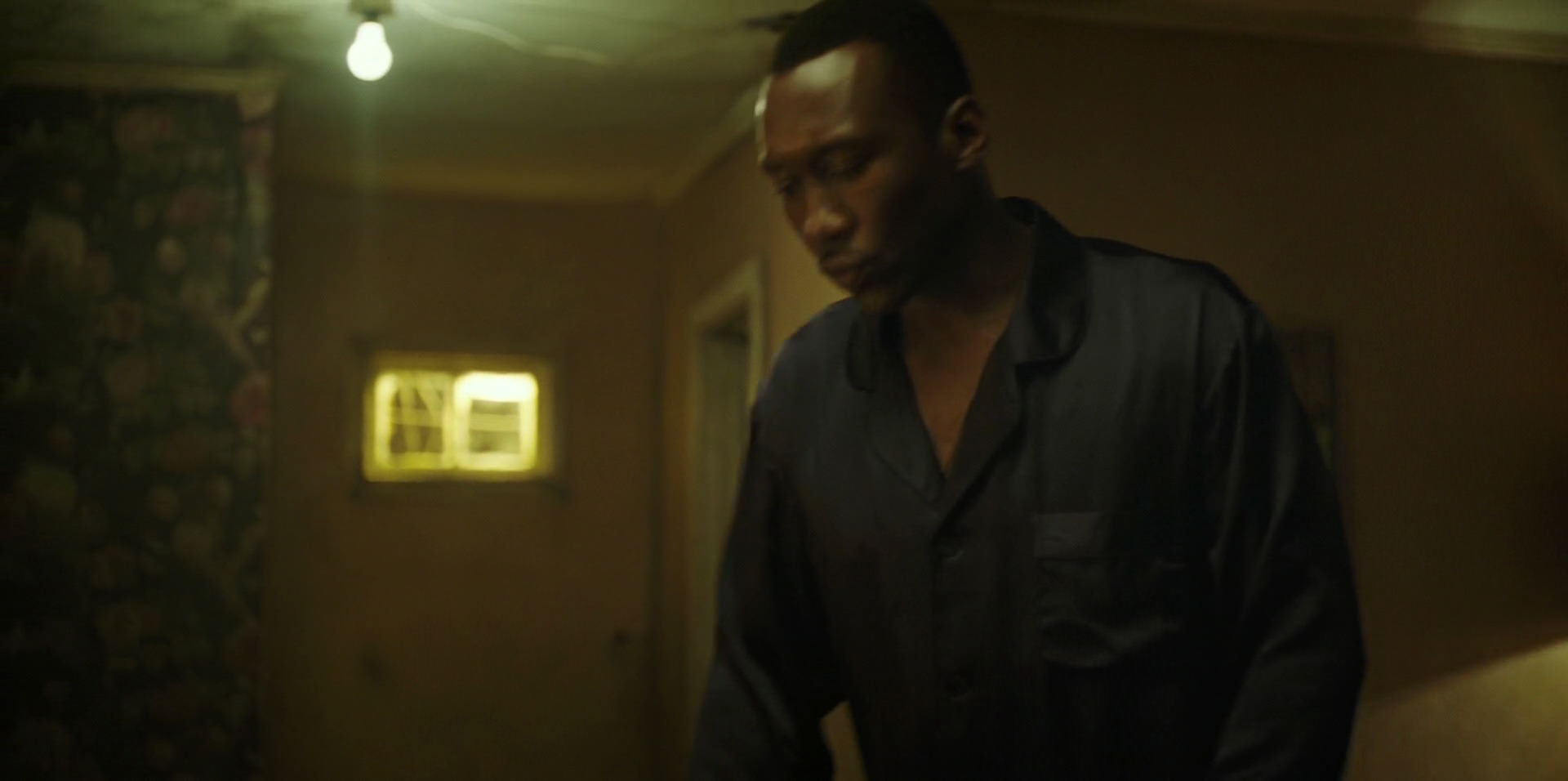 Green Book (2018) movie still 11224