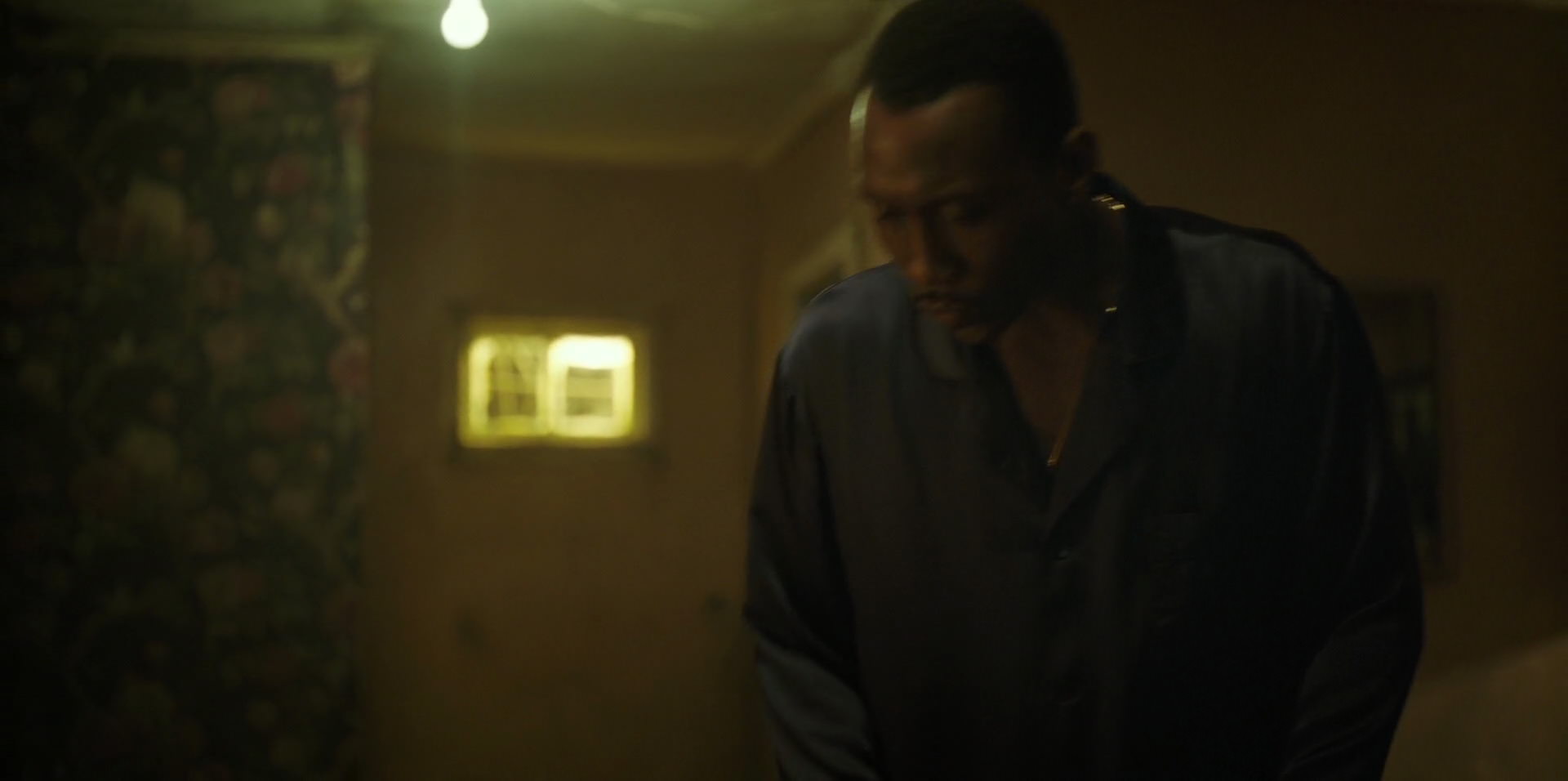 Green Book (2018) HD screenshot 11225