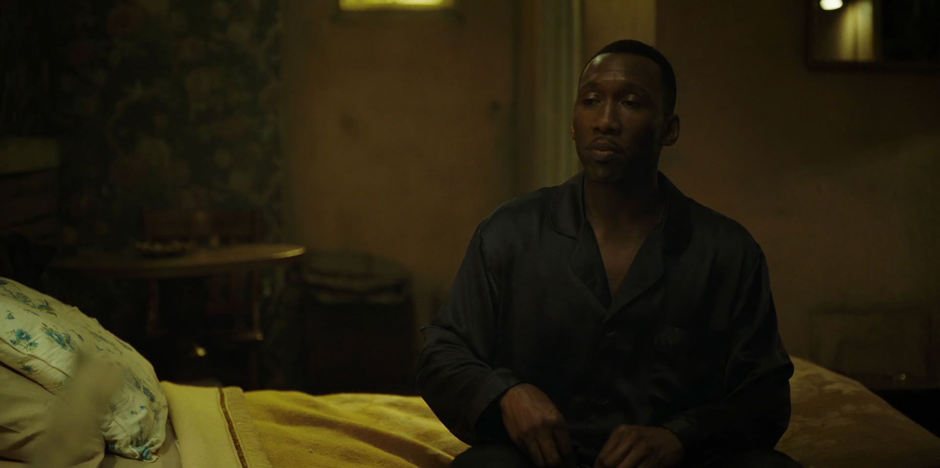 Green Book (2018) movie still 11233