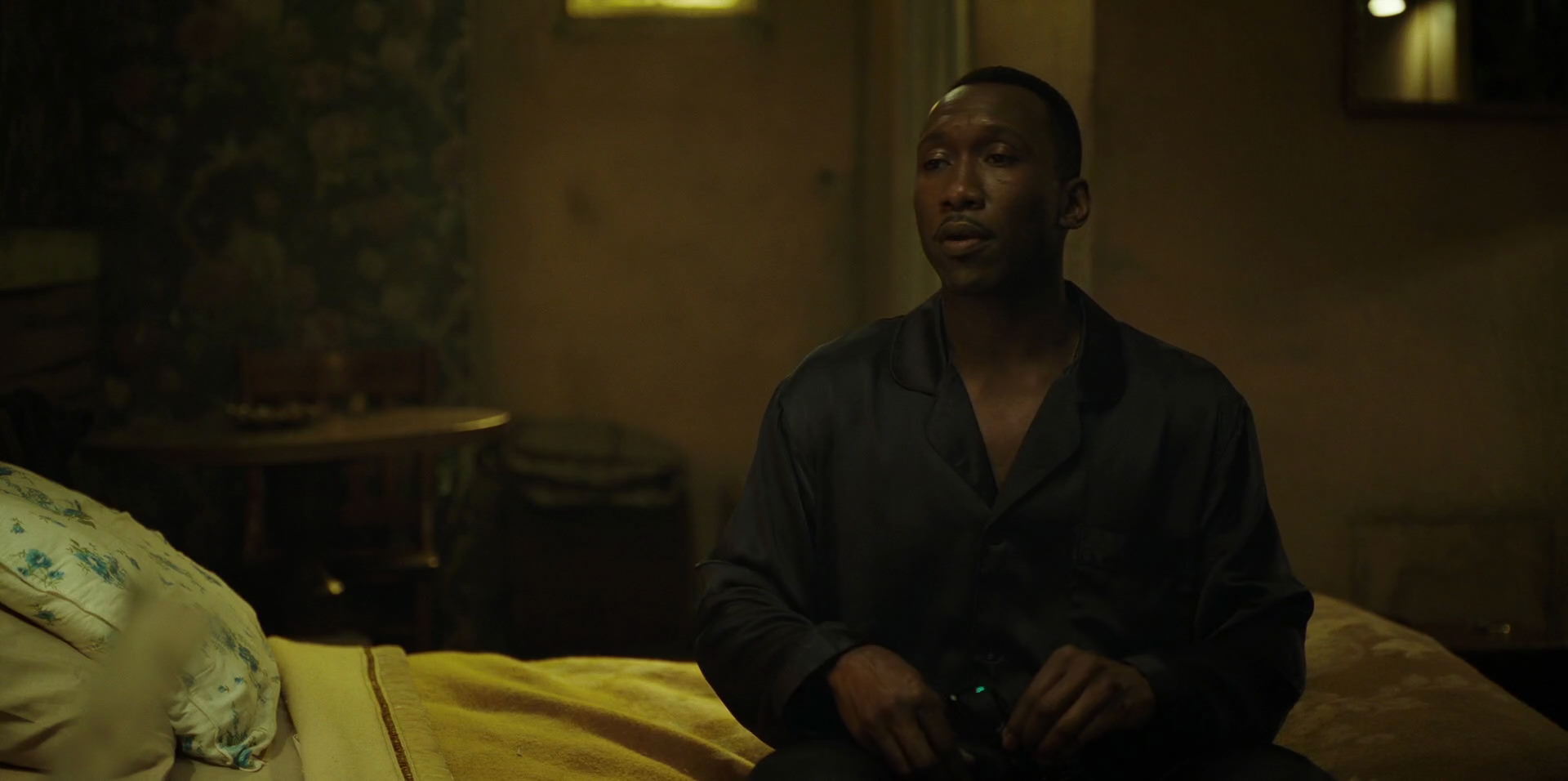 Green Book (2018) HD screenshot 11234