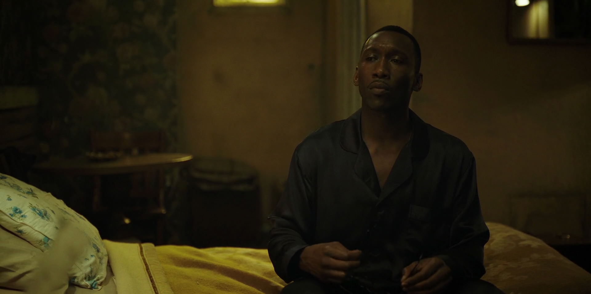 Green Book (2018) movie still 11239