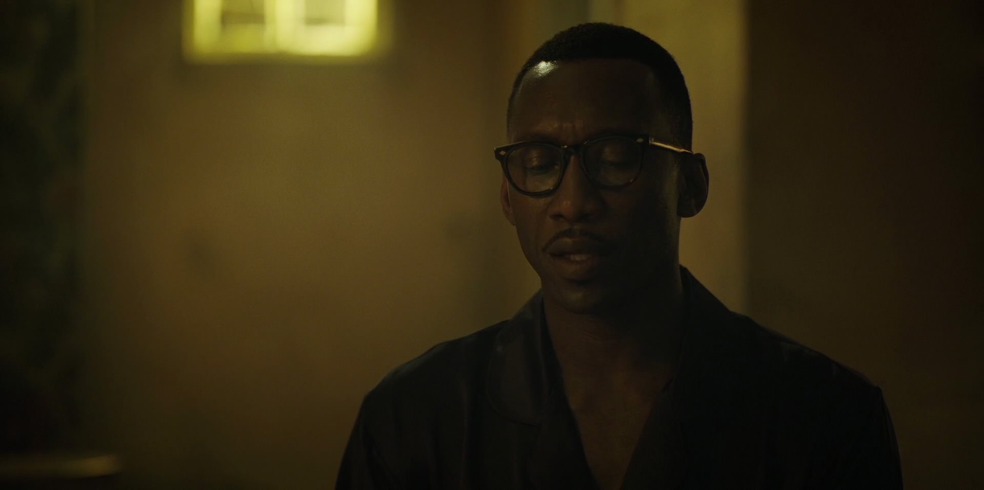 Green Book (2018) movie still 11299