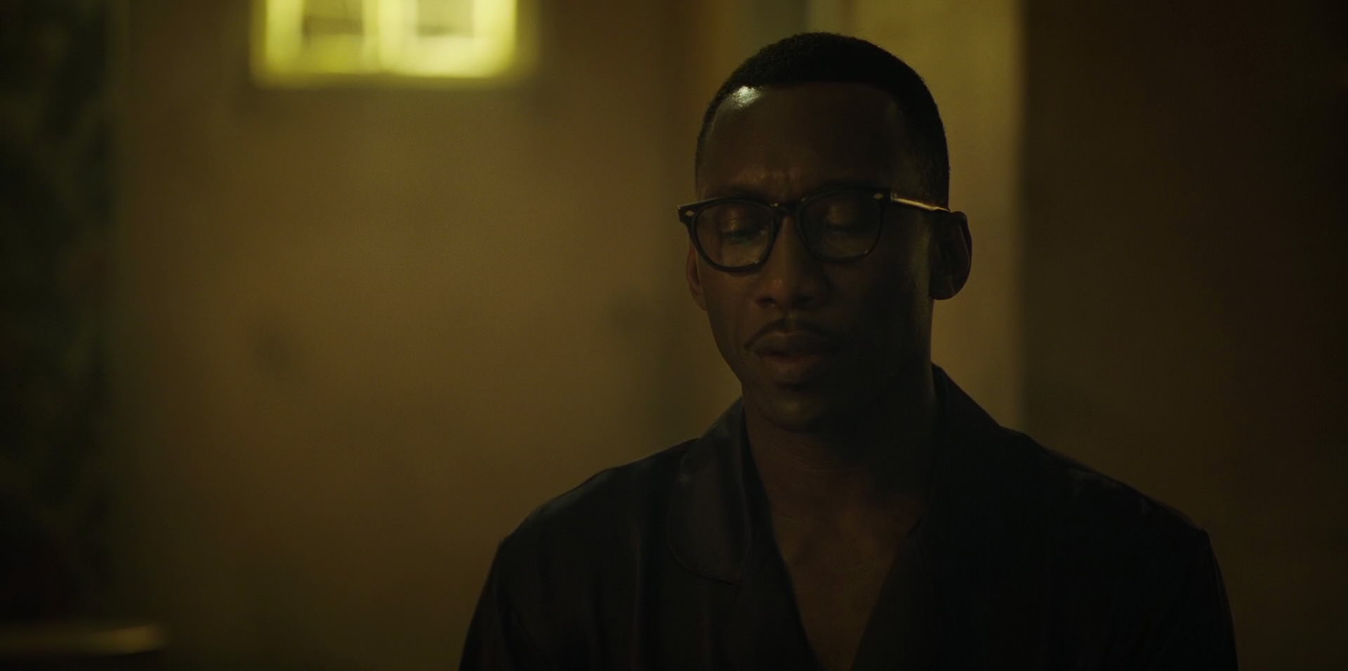 Green Book (2018) movie still 11302