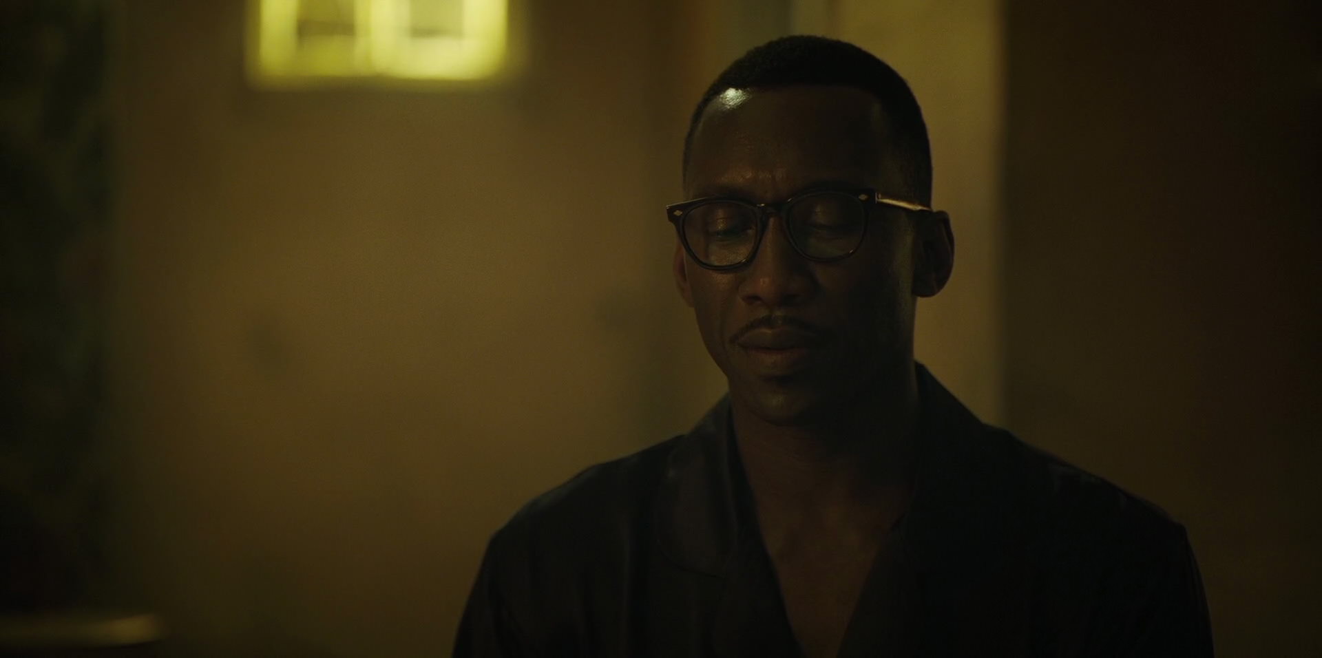 Green Book (2018) movie still 11308