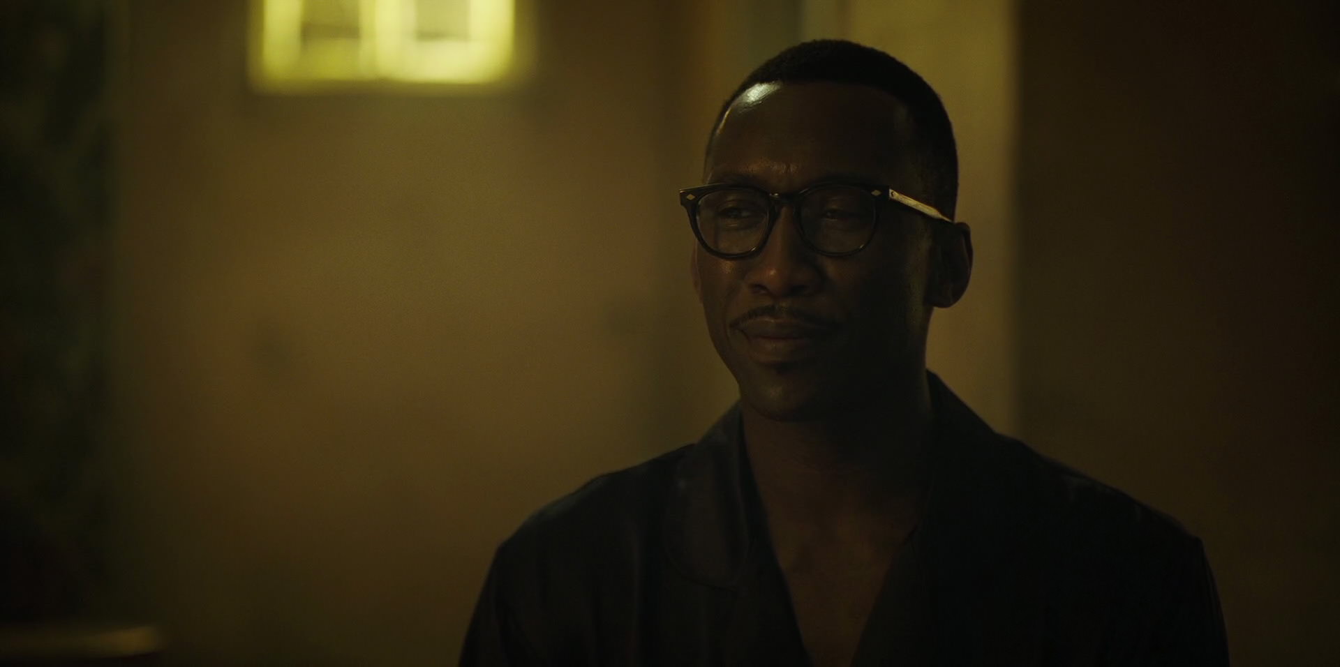 Green Book (2018) HD screenshot 11318