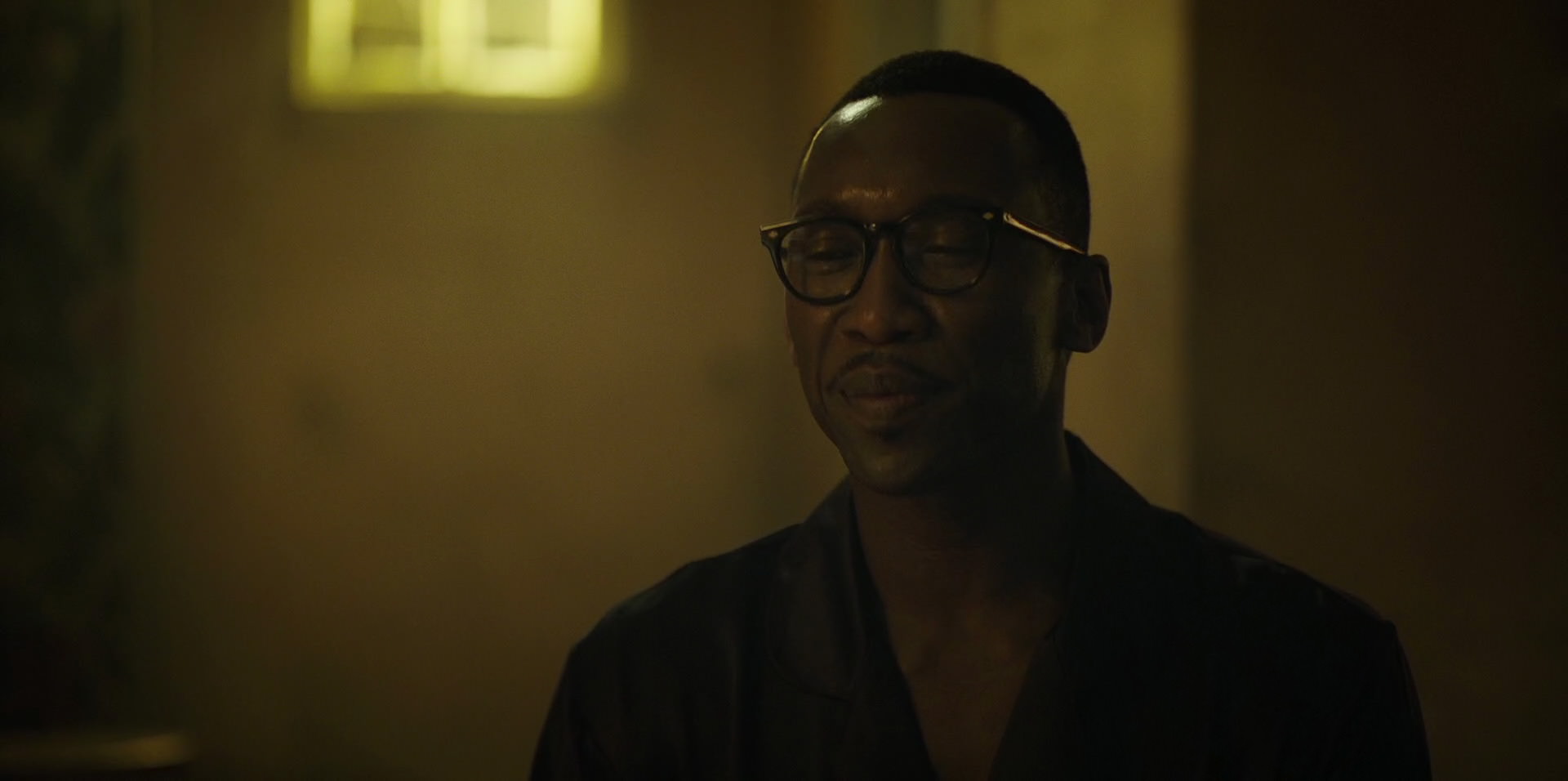 Green Book (2018) movie still 11320