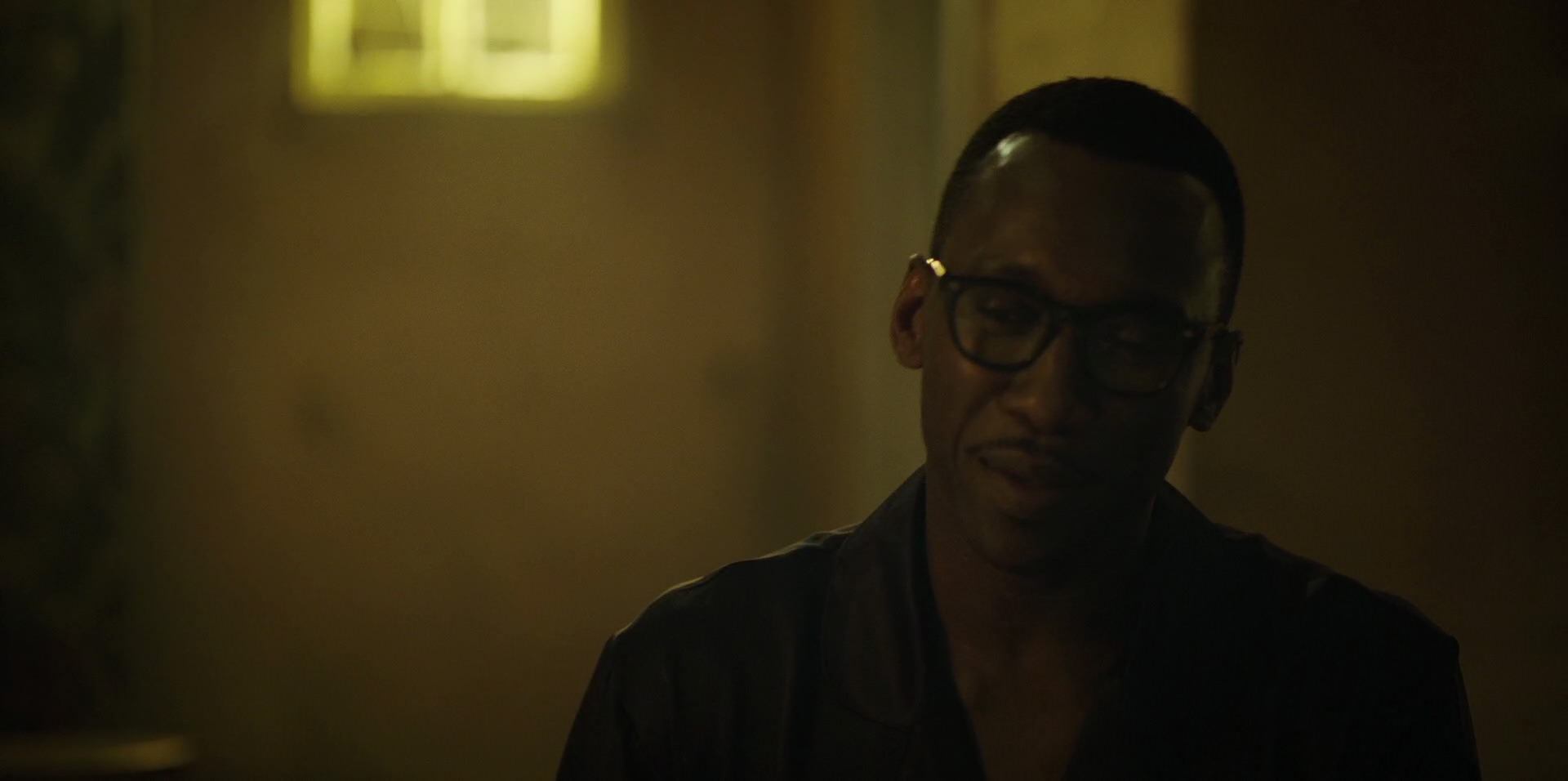 Green Book (2018) movie still 11323