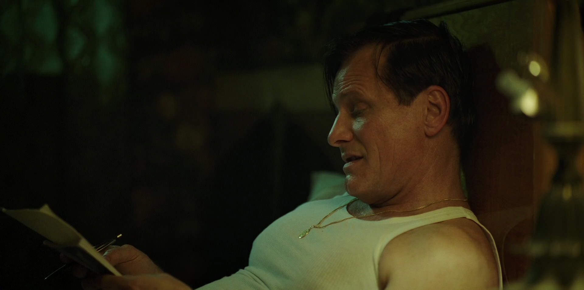 Green Book (2018) HD screenshot 11384