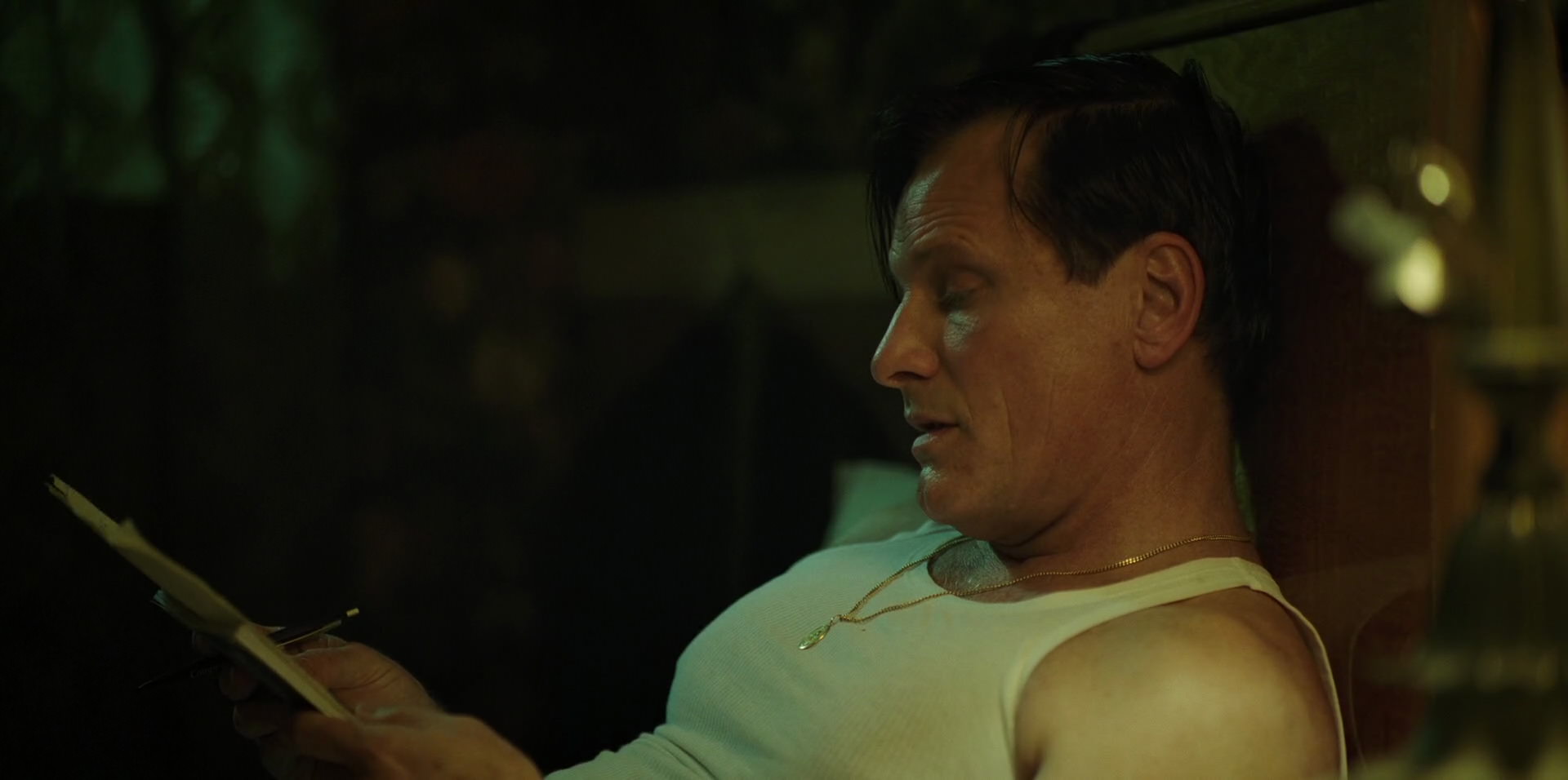 Green Book (2018) HD screenshot 11387