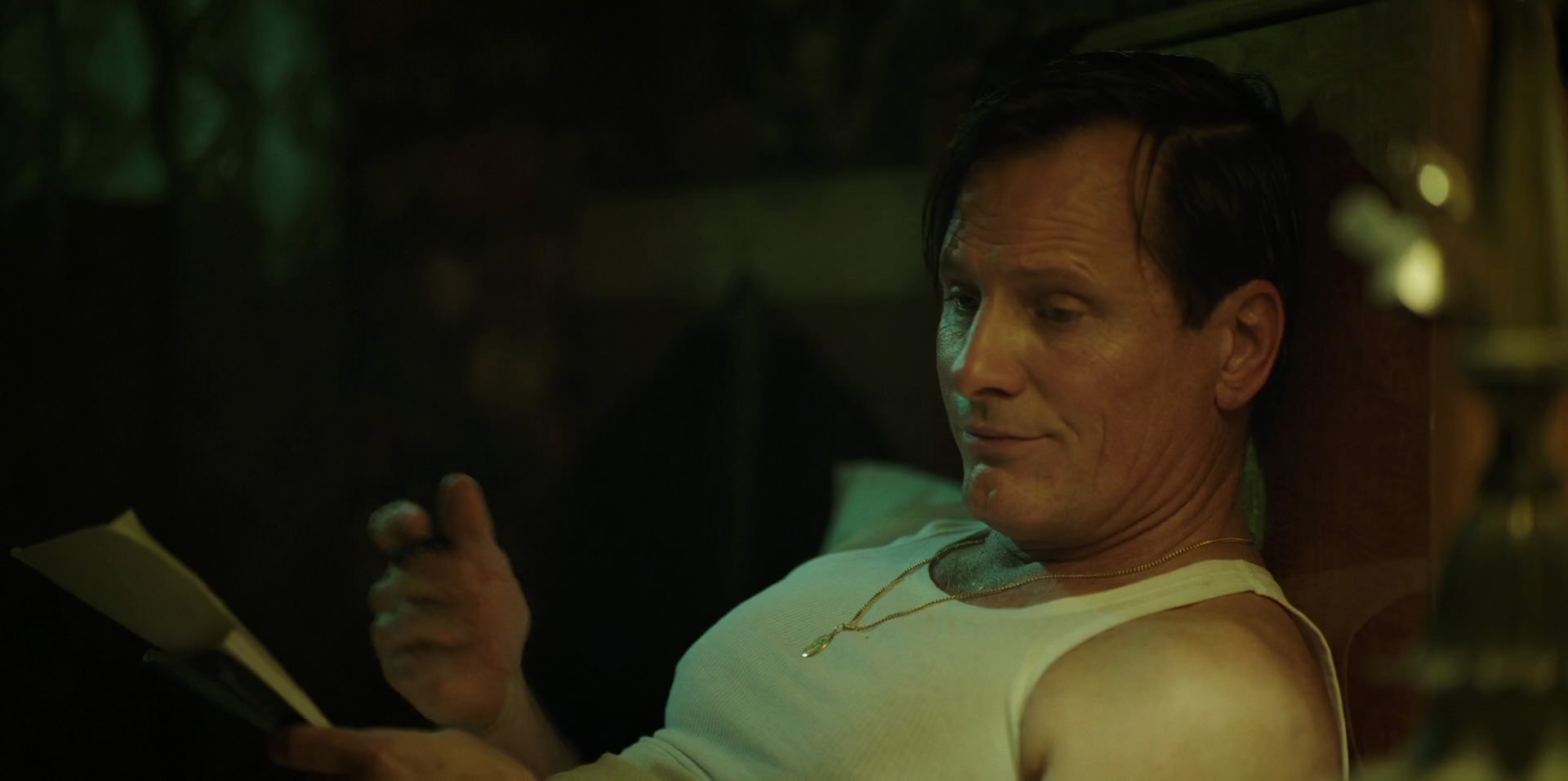 Green Book (2018) HD screenshot 11393