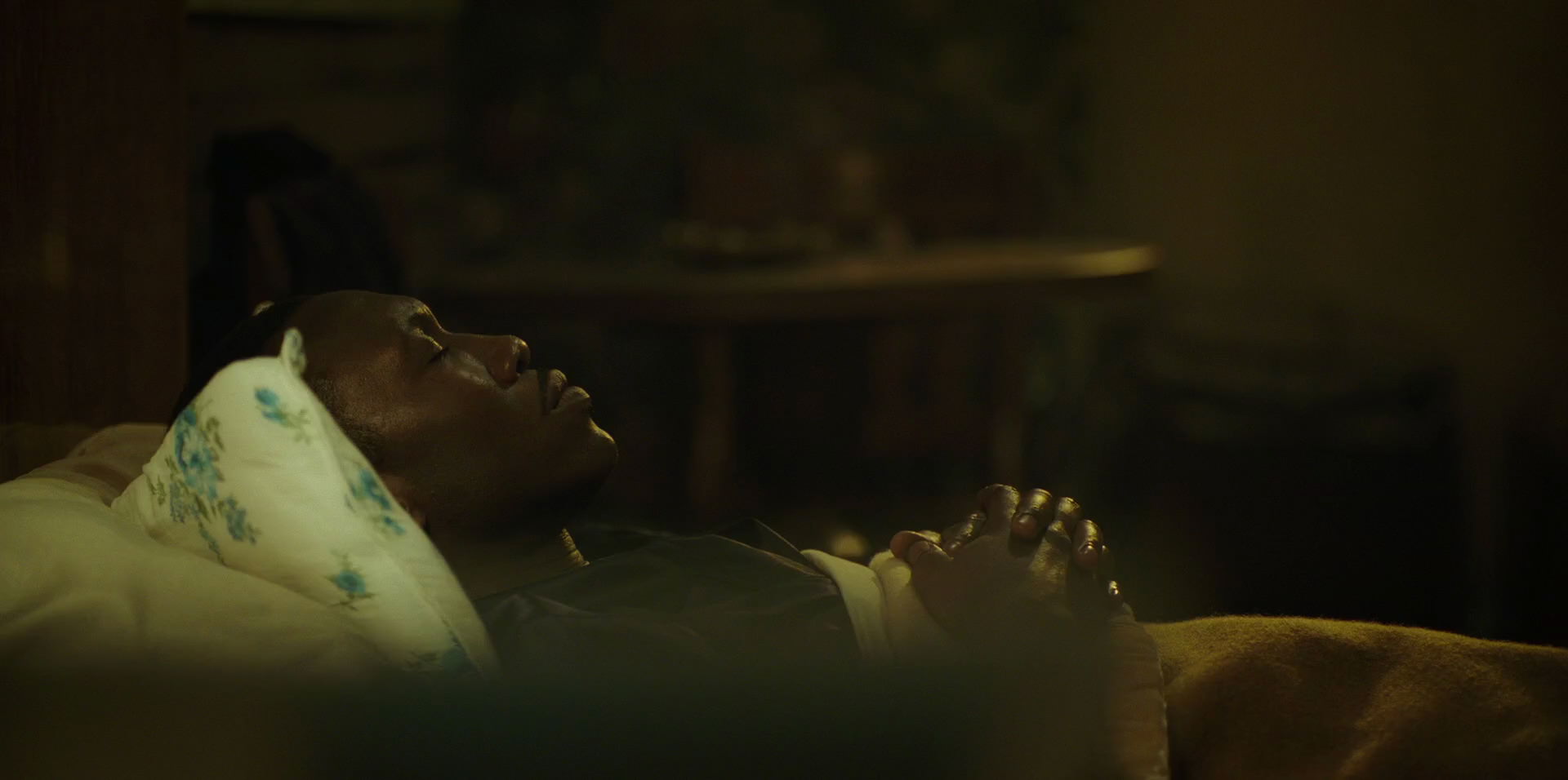 Green Book (2018) HD screenshot 11402