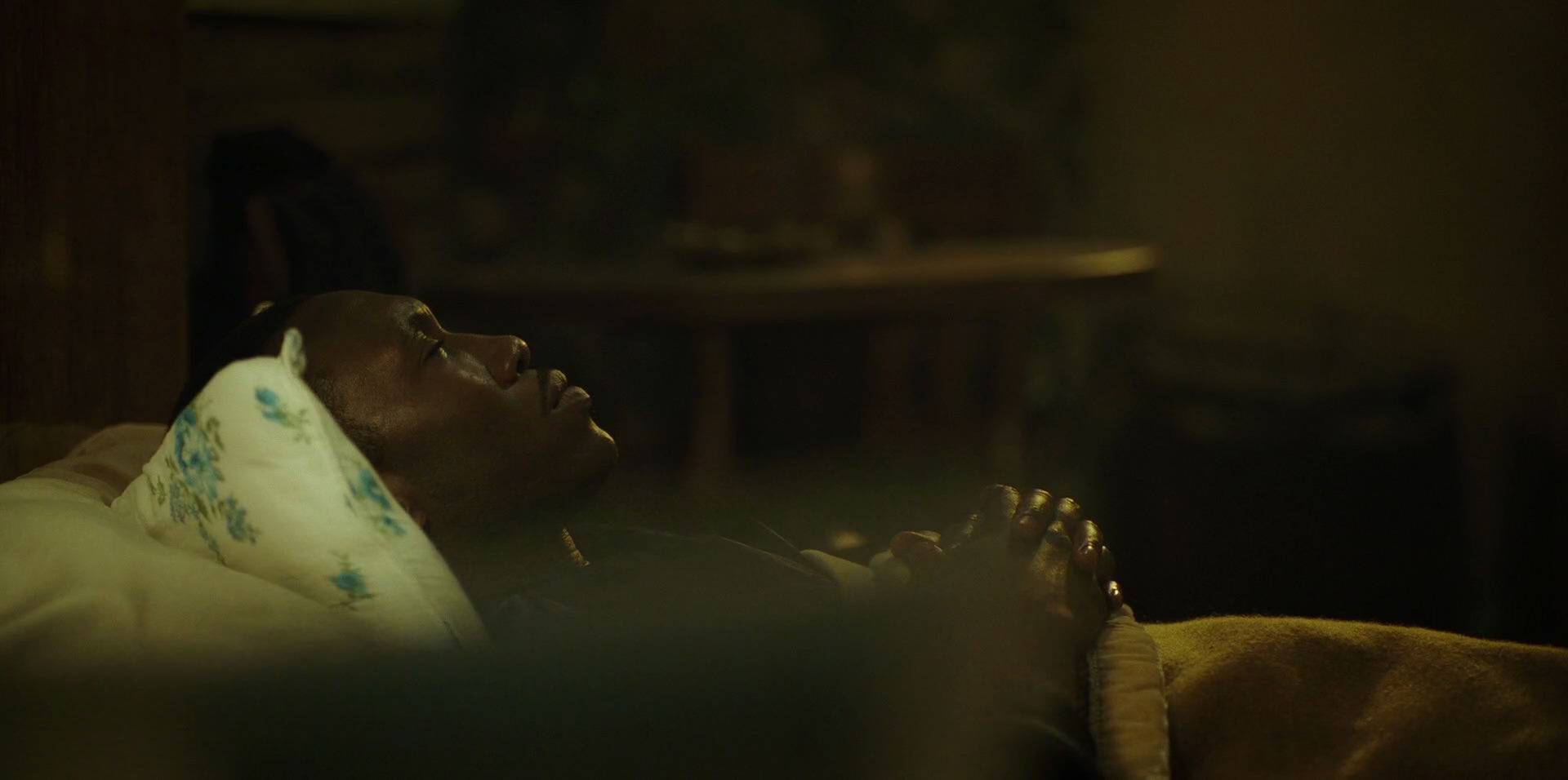 Green Book (2018) screencap 11403