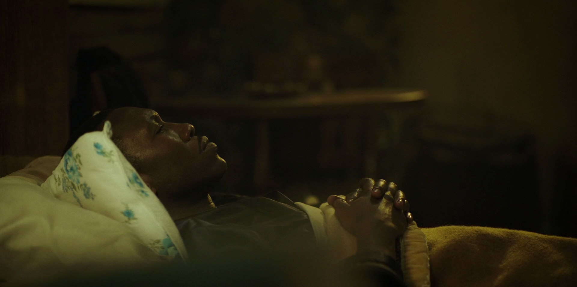 Green Book (2018) movie still 11407