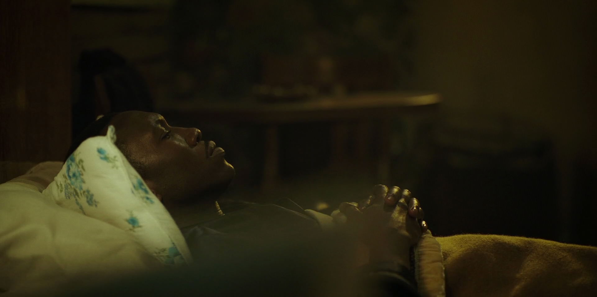 Green Book (2018) HD screenshot 11408