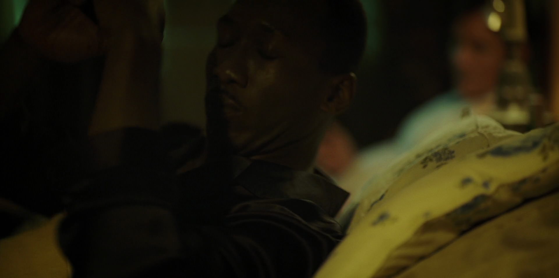 Green Book (2018) HD screenshot 11411