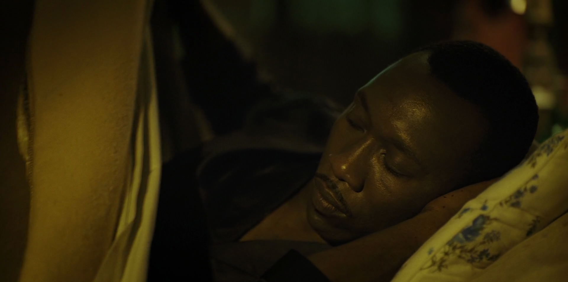 Green Book (2018) HD screenshot 11417