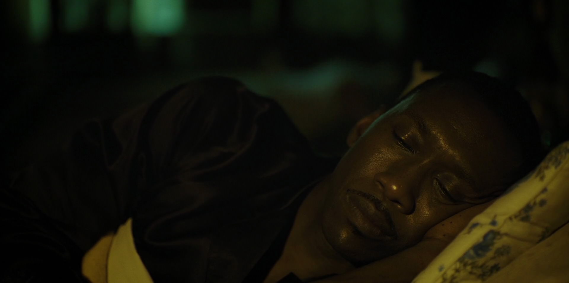 Green Book (2018) HD screenshot 11435