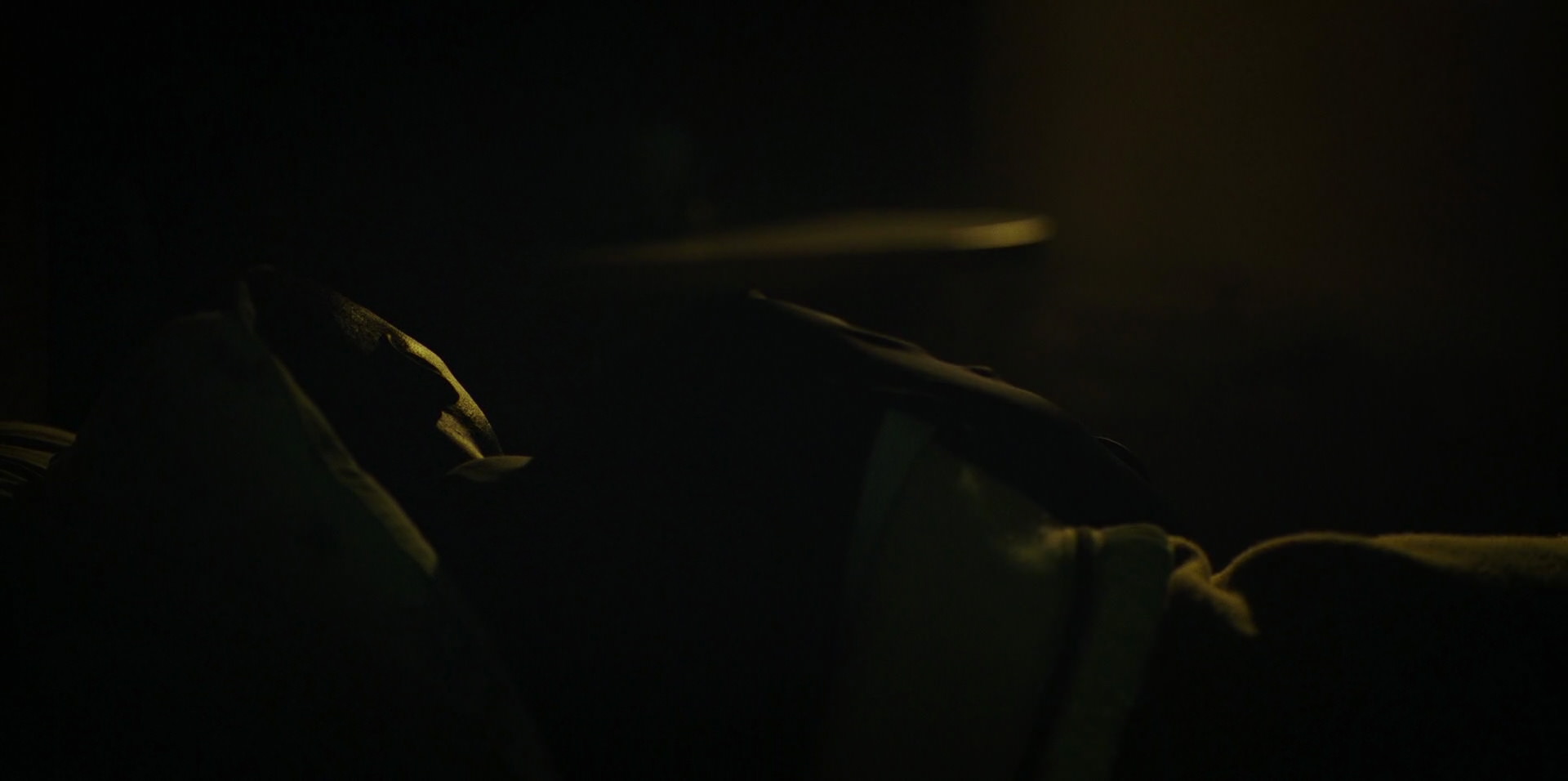 Green Book (2018) movie still 11476