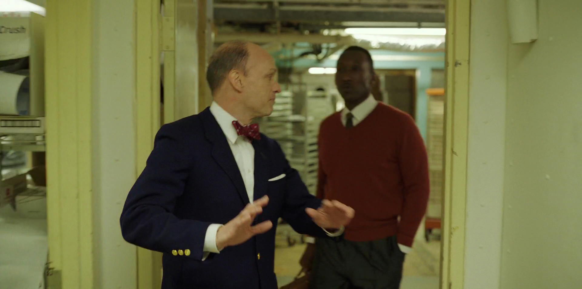 Green Book (2018) movie still 11563