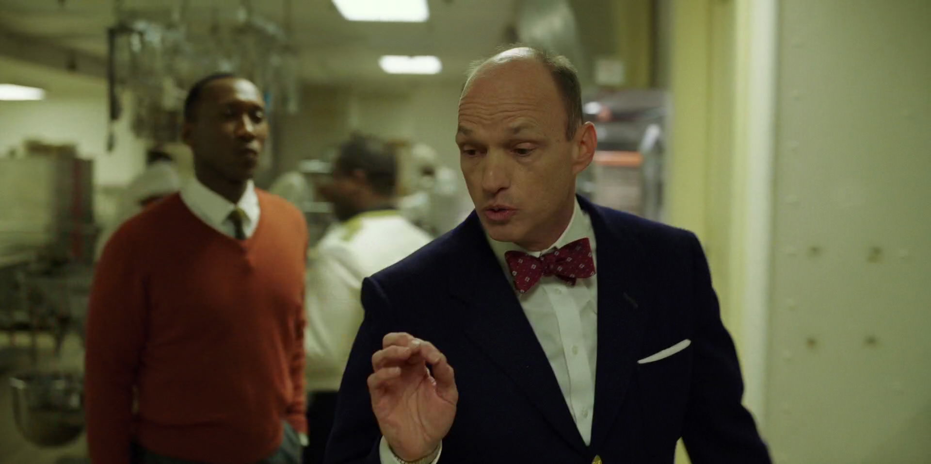 Green Book (2018) movie still 11575